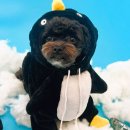 하률로12번길 이미지