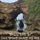 멜버른근교 필수코스 투어 12사도 헬기투어 레이저백 그로또 포토존
