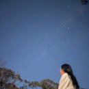 #3 시드니 9박10일여행/페더데일 동물원,링컨스락,루라몰,에코포인트,세자매봉/블루마운틴 하루투어 추천!!