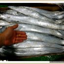 장통밥상 이미지