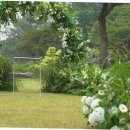 리움 | 청주 근처 풀빌라 가좌리움 다녀온 후기