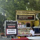 WE | 포항 스틸러스 축구 2026년 학생 할인 코드 초등학생 무료 | 포스코 포항제철소 파트너사협회 데이 후기
