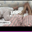 V로그 영상편집 | 셋로그(setlog) 앱 후기 | 사용법 + 돌잔치 영상 만드는 법