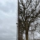 피유빌리지 | 프랑스 여행기(7) #CAFE CARETTE (까레트) 초코덕후 찐 후기, 파리 카페 추천, 파리 한식당 다래 추천