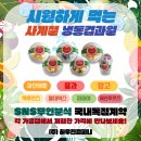 파파야컴퍼니 네이버블로그