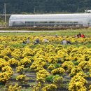 산청지역자활센터 이미지