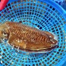 광장54호 이미지