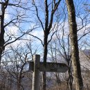 소나무 황토빌 이미지