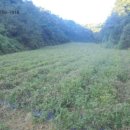 미천면-5 이미지