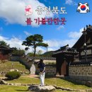 안천~용담 단풍나무길 | 충북 청주 봄 여행 드라이브 가볼만한곳 best 5