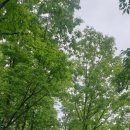 사인암민박 이미지