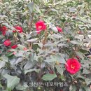 들빛 이미지