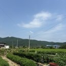 학하민박 이미지