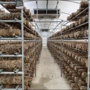 종혁농장 이미지