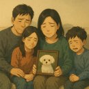 새희망 새영천(아트 | 영천반려동물장례식장_위치,비용안내_사랑했기에더깊은이별_영천최저장례비용
