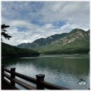 카페산세
