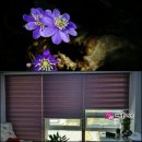 투앤투PC방 이미지