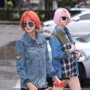 박시현헤어 이미지