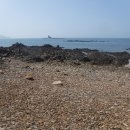 장고도2 이미지