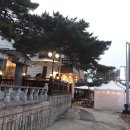 똥강아지애견방