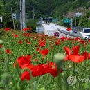 인제할인마트 이미지