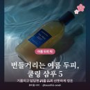 카페인1035 | 여름 지성 두피 샴푸 추천 5가지 ｜ 쿨링 티트리 스케일링 지성용 샴푸