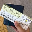서울여행! 제25회 충우 인섹트 페어 셀러 참가자 후기