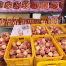 민이농장 이미지