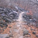 현대1차아파트(반여3동)