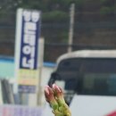 영동농협주유소 이미지