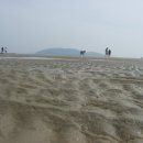 풀등이야기 이미지