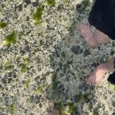 미영목장2 이미지