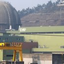 한빛피부 이미지