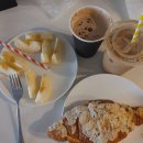 가든빌딩 | 호주 셋째날 도심 여행 후기 : 시드니대학교, 퀸빅토리아빌딩, 보태니컬가든, 주립도서관