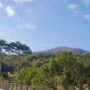 무동경로당 이미지