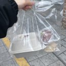 구월의 집 | [부산] 대연동 구월의 마카롱 후기