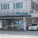 봄 위드레삐