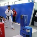 고려용호태권도 이미지