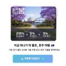 협동조합리워크 | 멜버른 그레이트오션로드::소규모 vs 그룹 투어 비교, 비용, 예약