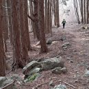 [전라도의 숨은 명산 희아산] 손오공도 탐낼 복숭아 산지…저 멀리 지리산이 훤하네 이미지