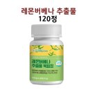 레몬몰 쇼핑하우