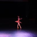 2020 충청북도댄스연맹 무용정기공연 ''세상을 그리는 움직임'' 이미지