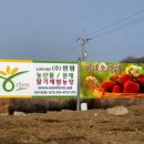 원팜 네이버블로그