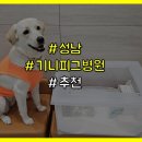 휴동물의료센터 이미지