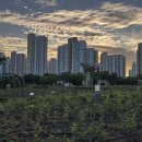 효원주유소 이미지