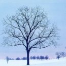 영전초교 이미지