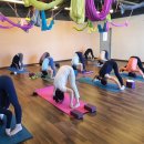 근육 관절 탄탄 아쉬탕가 요가 이미지