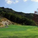 일레븐CC 이미지