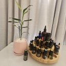 영피부샵 이미지