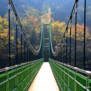 입곡군립공원(산림욕장) 이미지